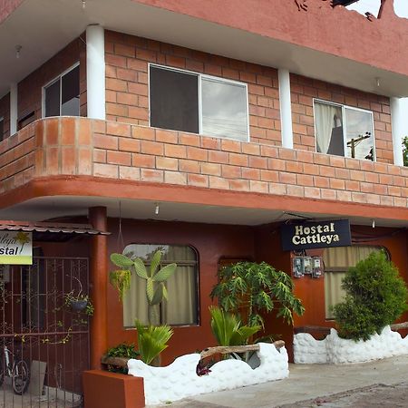 Hostal Cattleya Puerto Baquerizo Moreno Eksteriør bilde
