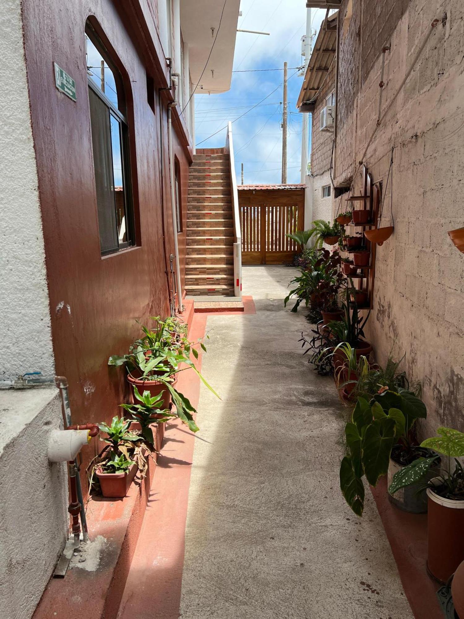 Hostal Cattleya Puerto Baquerizo Moreno Eksteriør bilde