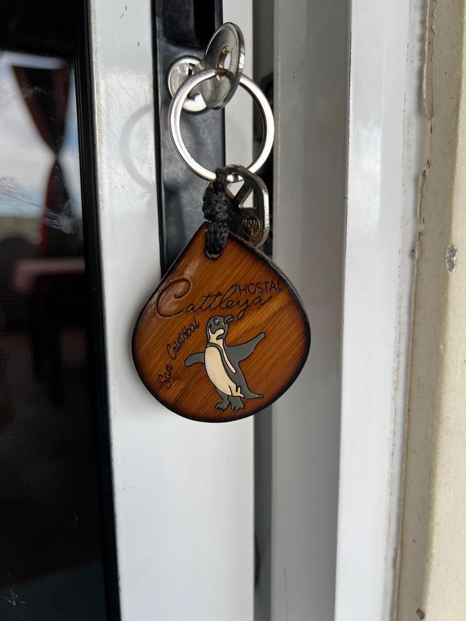 Hostal Cattleya Puerto Baquerizo Moreno Rom bilde